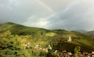 Wineck-Schlossberg: De menselijke kant van terroir