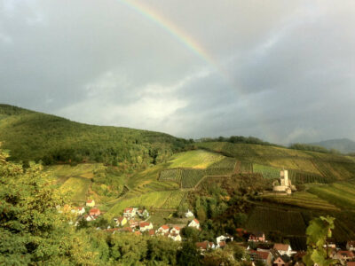 Wineck-Schlossberg: De menselijke kant van terroir