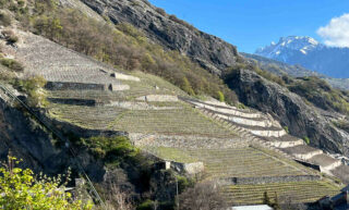 Swiss Vineyard Classification